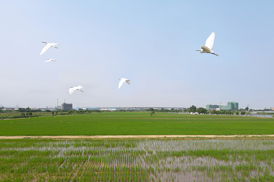 DJI_0051.jpg